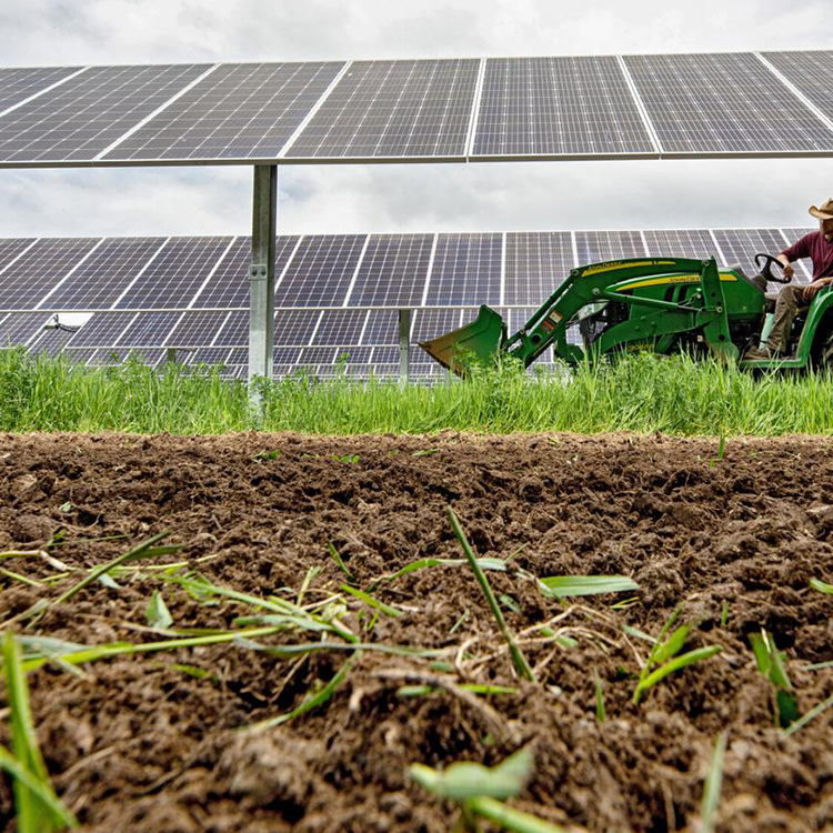Solar Farm Energy Solution