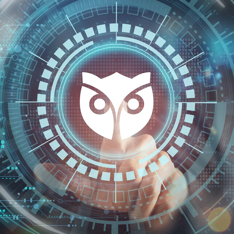 Owleye Remote Monitoring System (RMS)
