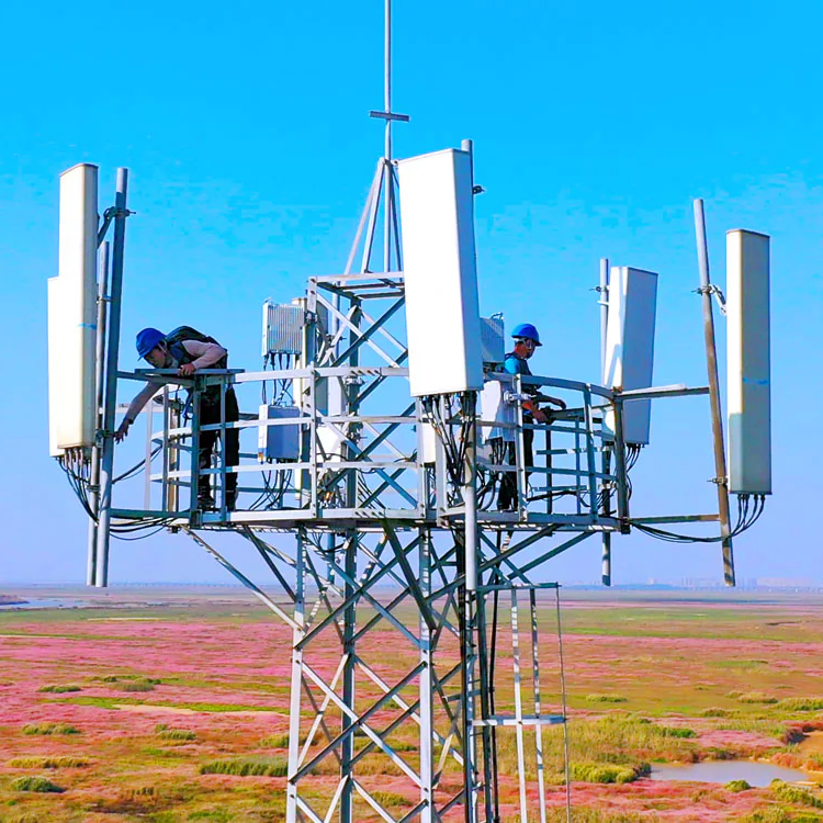 BTS Energy Storage Solution